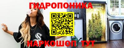 скорость Будённовск