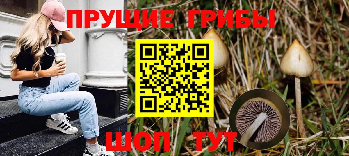 Галлюциногенные грибы мицелий Миасс