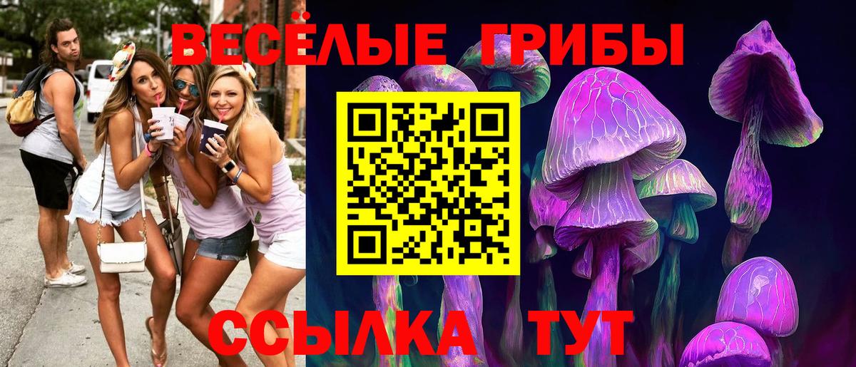 наркота  Псилоцибиновые грибы Cubensis  Вход с VPN  Миасс 